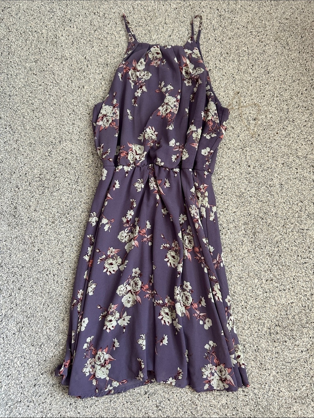 Blue Rain Plum Floral Spaghetti-Strap Mini Dress